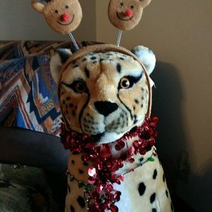 Meet your Posher, Janet